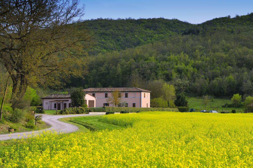 Agriturismo Il Corniolo Cenerente Bilik gambar